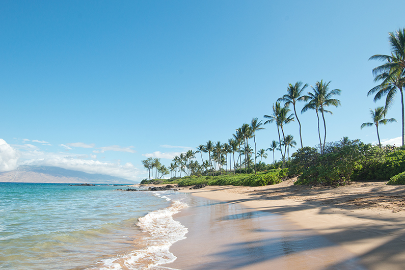 Waves on the beach with palm trees.