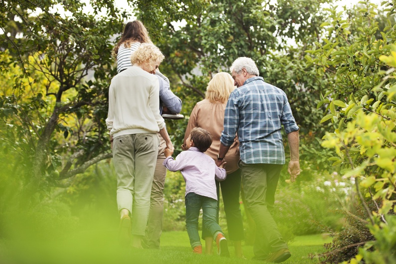 A family of 5 walks through a sunlit apple orchard, surrounded by green trees and fruit.