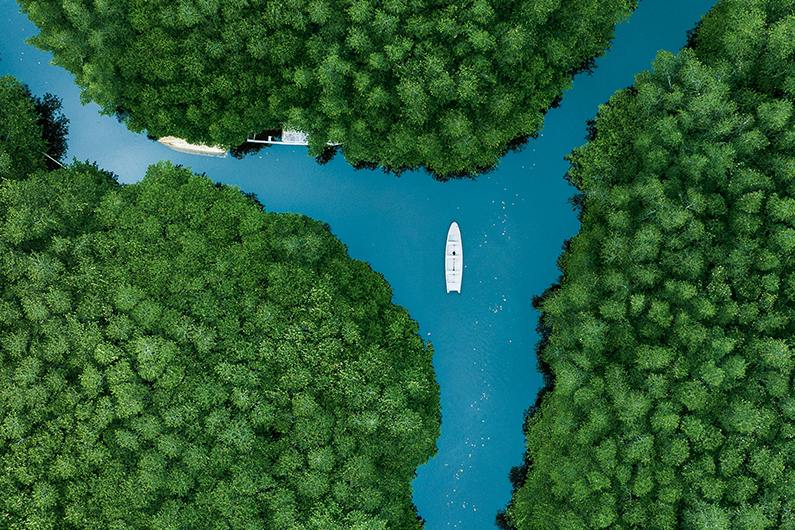 Aerial view of a white boat floating in a blue body of water surrounded by green forest.