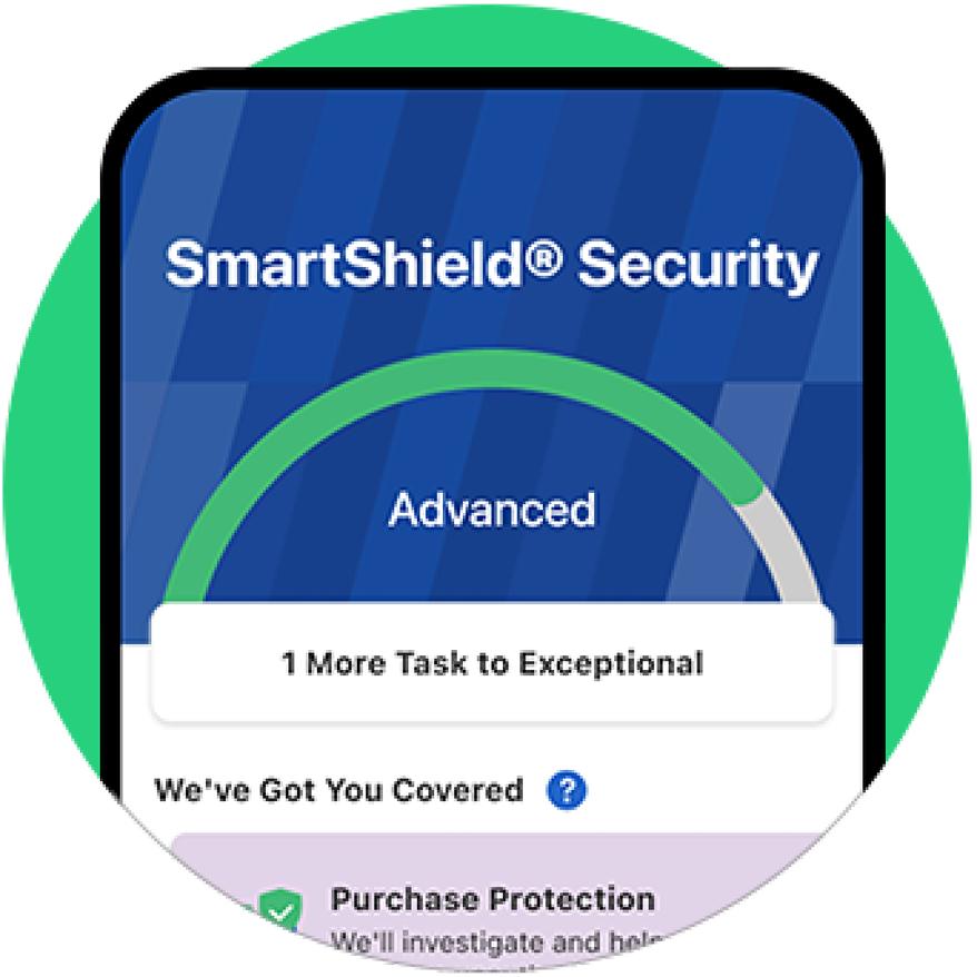 SmartShield Security, built into the app