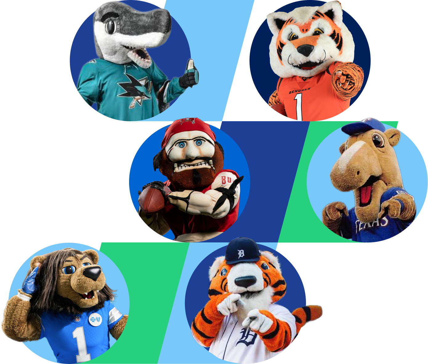 Sharks, Bengals, Bucs, Rangers, Lions, Tigers mascots